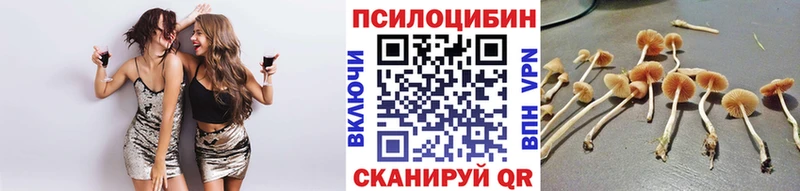 Галлюциногенные грибы прущие грибы  Тихвин 
